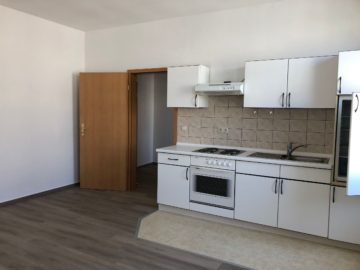 Moderne Einbauküche - Gemütliche 1-Zimmer-Wohnung in Halle (Saale) zur Miete