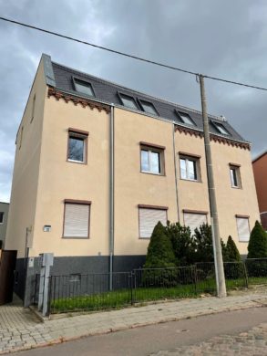 Große 4-Raum-Wohnung im Hochparterre direkt an der Elsteraue, 06132 Halle/Saale, Apartment